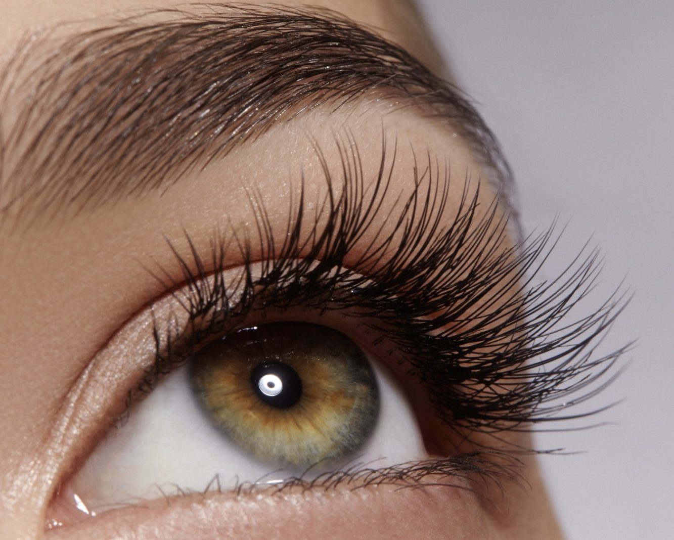 Formation Cils Sourcils CPF 06